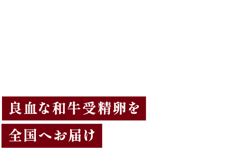 遺伝子から和牛を創る